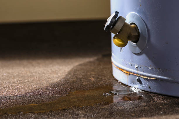 Best Basement water damage restoration  in Spring Arbor, MI