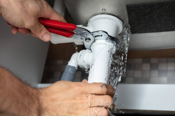 Best Water damage contractors near me  in Spring Arbor, MI