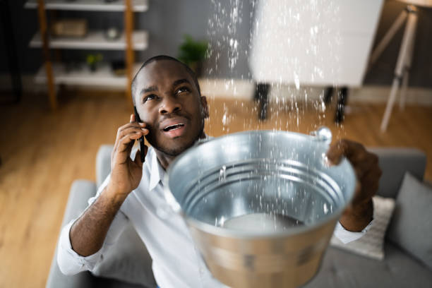  Spring Arbor, MI Water damage restoration Pros