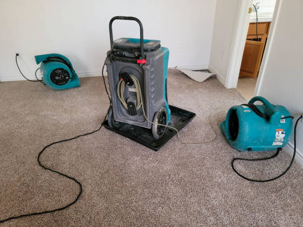 Best Water damage restoration specialists  in Spring Arbor, MI