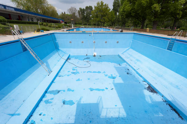 Best Carpet water damage restoration  in Spring Arbor, MI