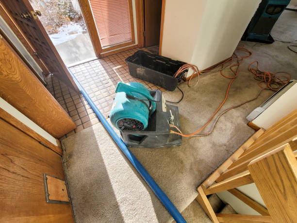 Fire Damage Restoration in MI