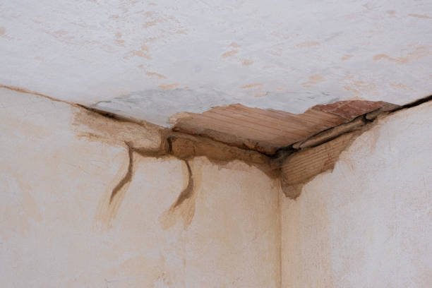 Best Flood damage cleanup  in Spring Arbor, MI