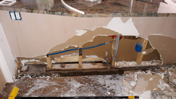 Best Fire Damage Restoration  in Spring Arbor, MI