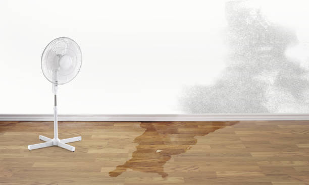 Best Water damage restoration insurance claims  in Spring Arbor, MI