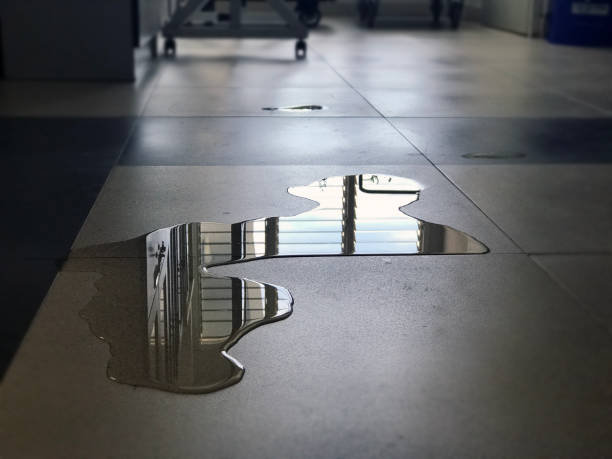 Best 24-hour water damage restoration  in Spring Arbor, MI