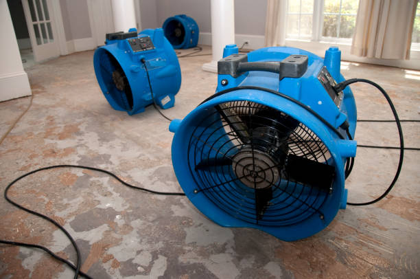 Best Commercial water damage restoration  in Spring Arbor, MI