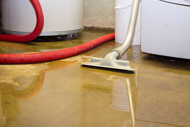 Best Water damage restoration process  in Spring Arbor, MI