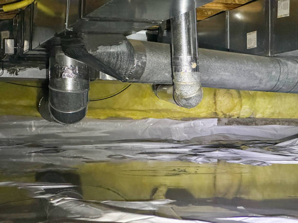 Best 24/7 water damage repair  in Spring Arbor, MI
