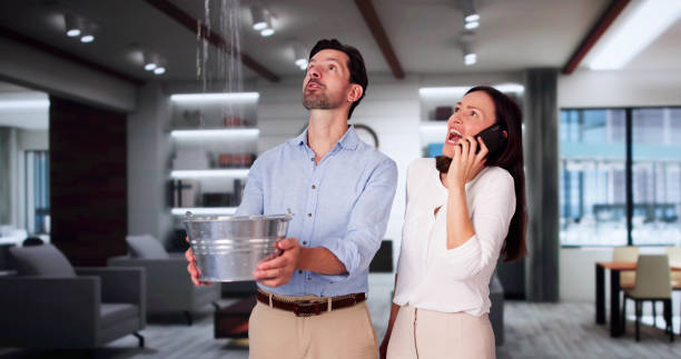 Best Fire Damage Restoration  in Spring Arbor, MI