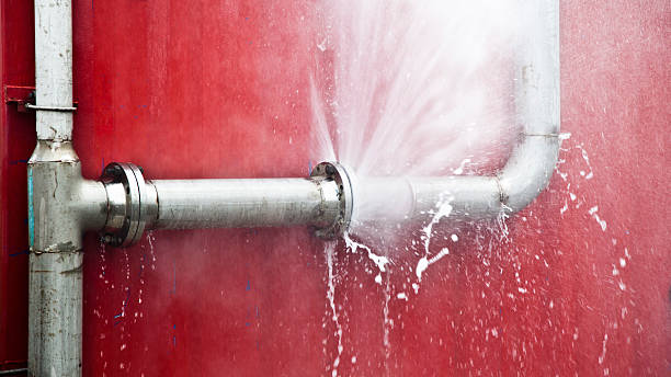 Best Commercial water damage restoration  in Spring Arbor, MI